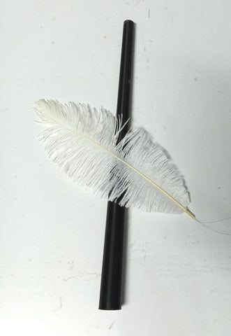 Feather From Light