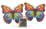 Appearing Butterfly Pair