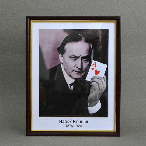 Houdini Prediction Frame