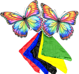 Appearing Butterfly Pair