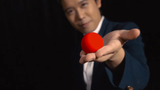 Perfect Manipulation Balls (1.7 inches Red) by Bond Lee