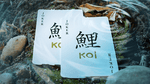 Koi V2 Playing Cards by Byron Leung - V2 MAGIC SHOP
