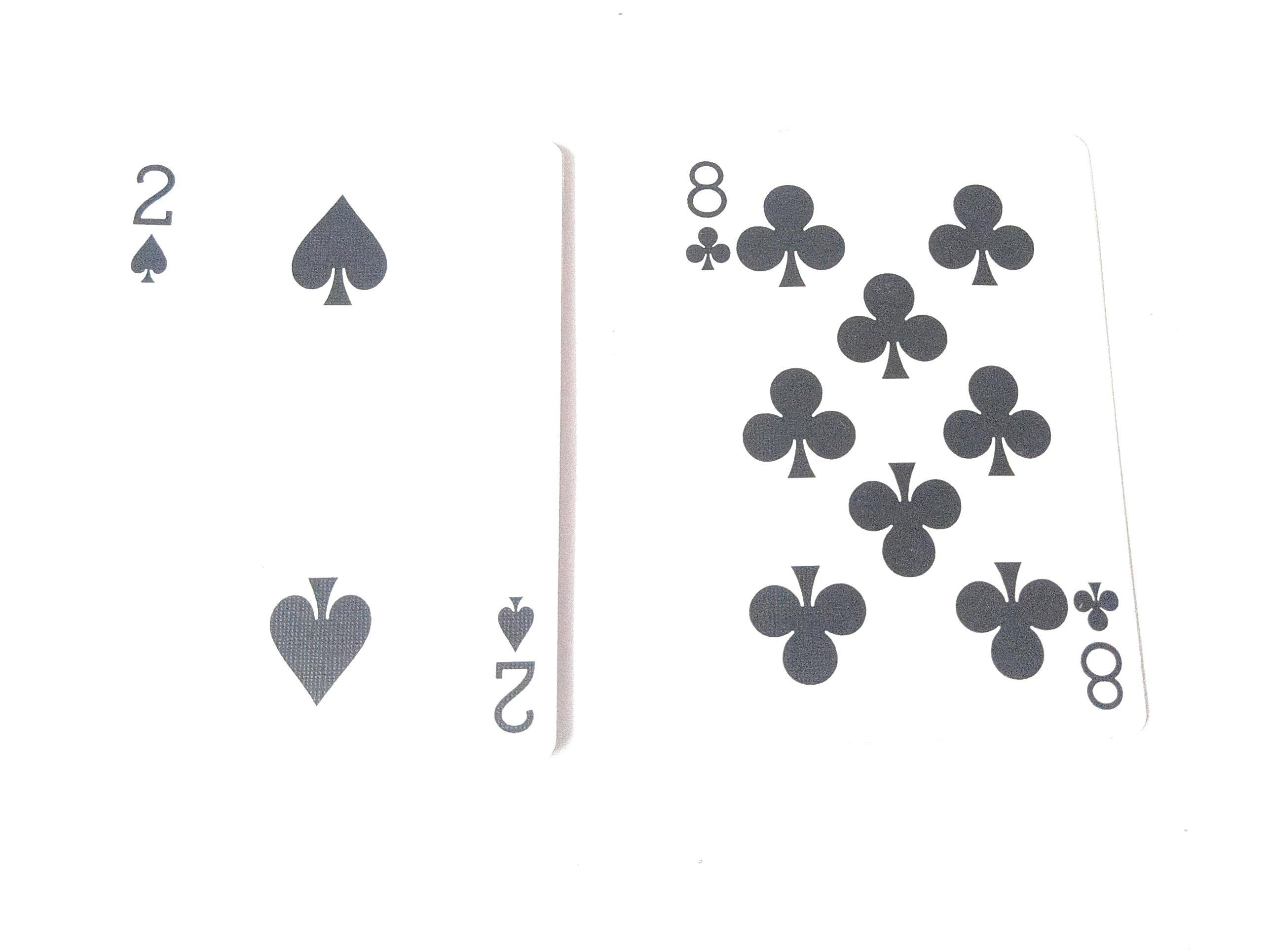 Magnetic Bicycle Cards | V2 MAGIC SHOP