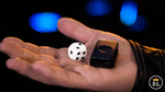 MENTAL DIE WHITE (With Online Instruction) by Tony Anverdi - V2 MAGIC SHOP