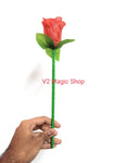 Nested Rose (#2) Economy - V2 MAGIC SHOP
