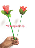 Nested Rose (#2) Economy - V2 MAGIC SHOP