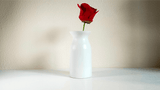 Snowflake Vase by Leon and Leno - V2 MAGIC SHOP